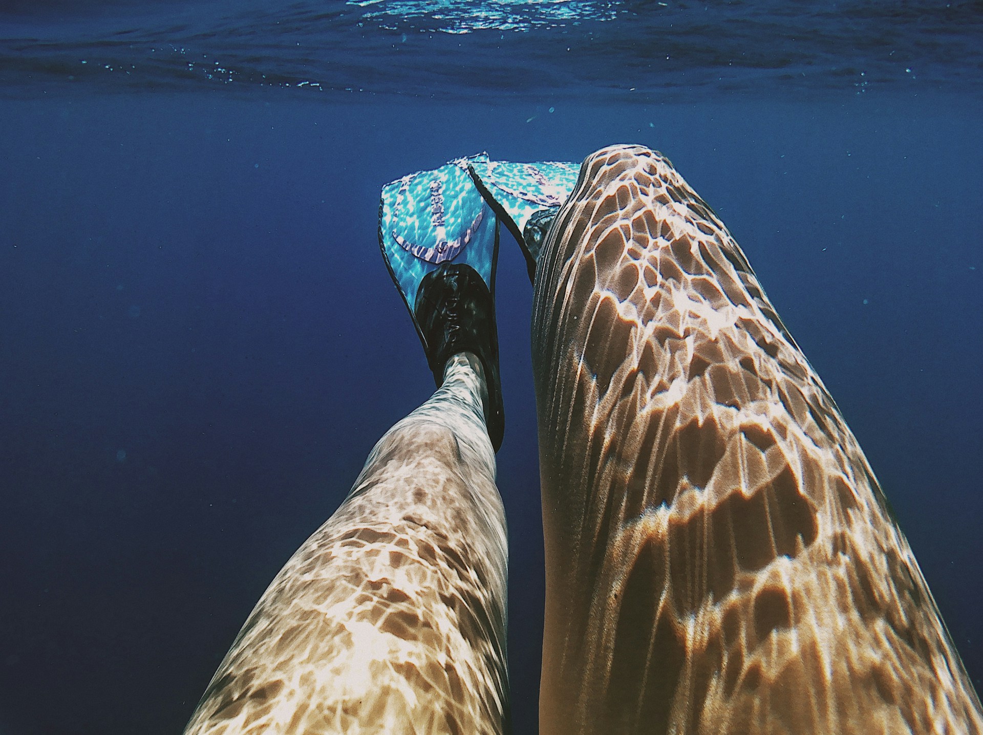 Why Swim Fins Are Essential for Every Swimmer Why Swim Fins Are Essential for Every Swimmer